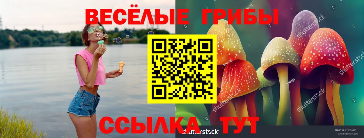Псилоцибиновые грибы прущие грибы Шебекино